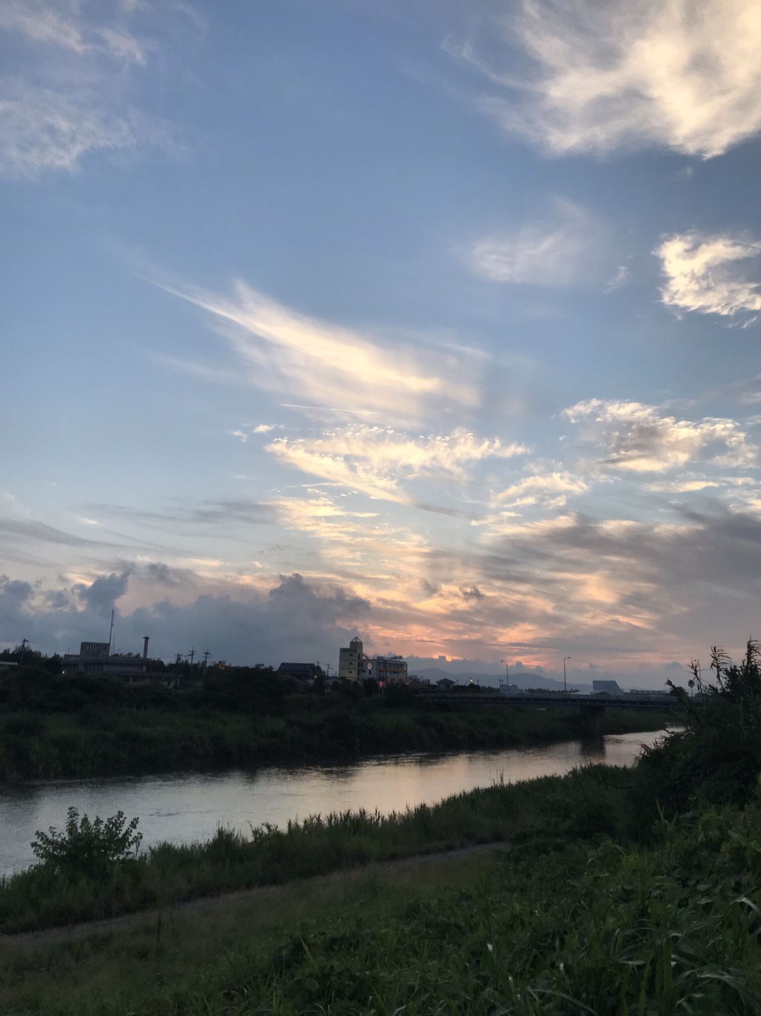 出水に暮らし始めて いずみがセンになる|鹿児島県出水市のローカルウェブマガジン
