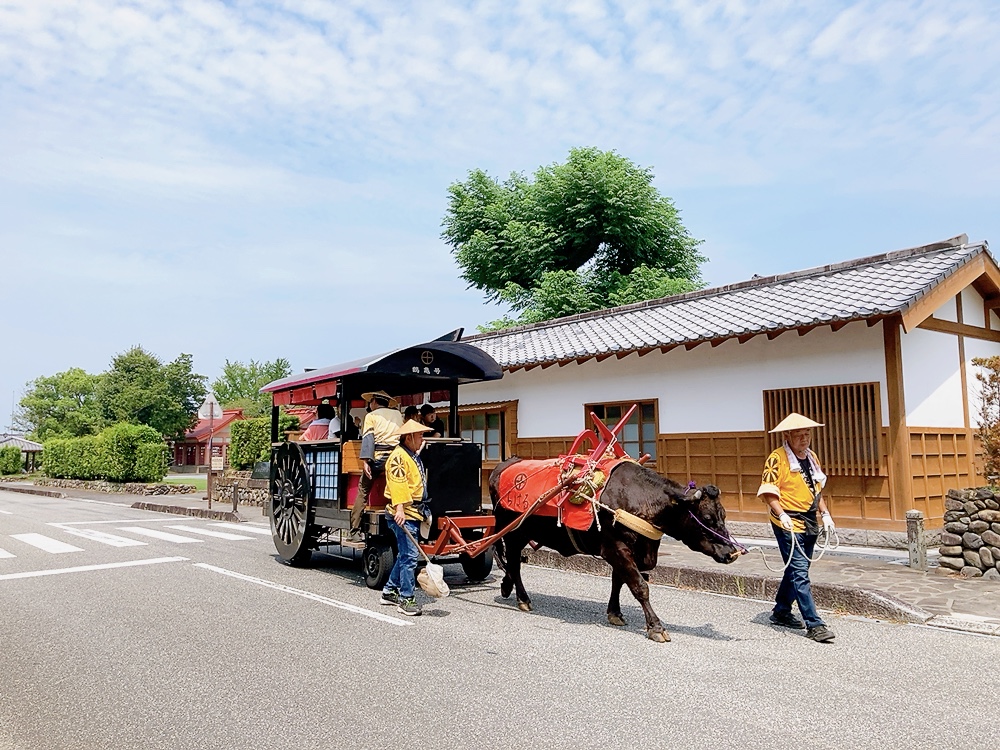 【いずみ観光牛車～公開武家屋敷へ】牛車にゆられ出水麓をめぐる。～麓さんぽ 2～